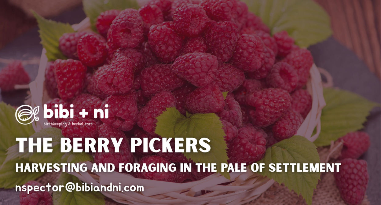 The Berry Pickers: Harvesting and Foraging in the Pale of Settlement (Part 2)